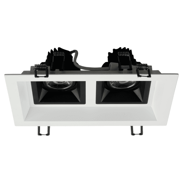 Multi 2 Head Recessed Fixture