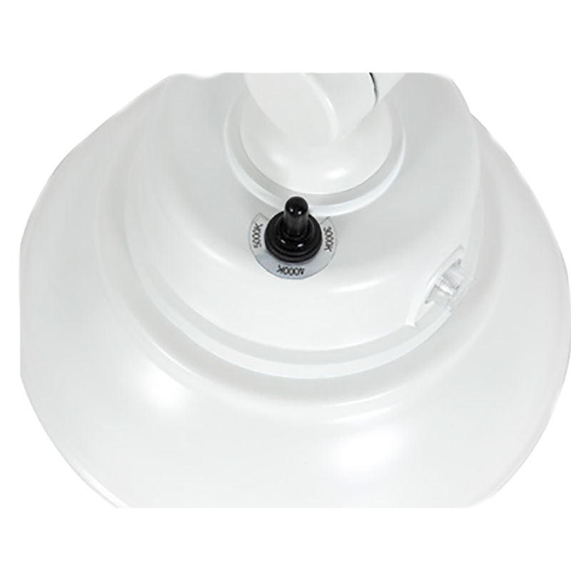 GNB - 3CCT Gooseneck Barn Light