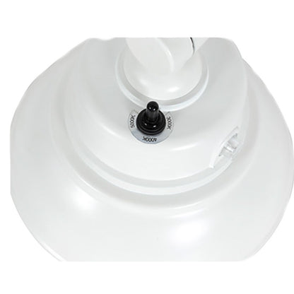 GNB - 3CCT Gooseneck Barn Light