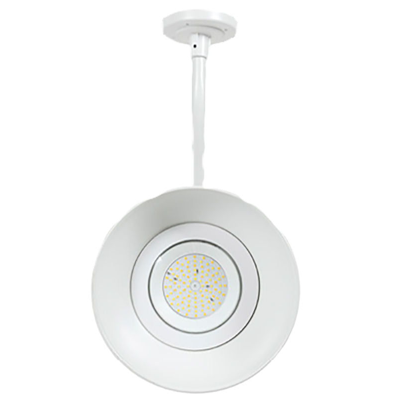 GNB - 3CCT Gooseneck Barn Light