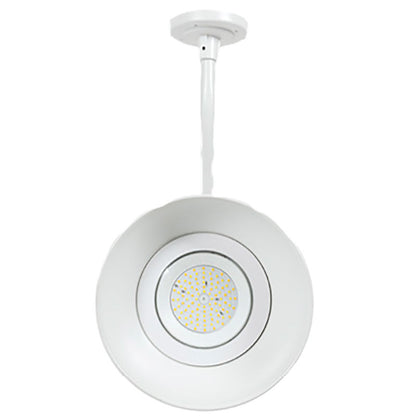 GNB - 3CCT Gooseneck Barn Light