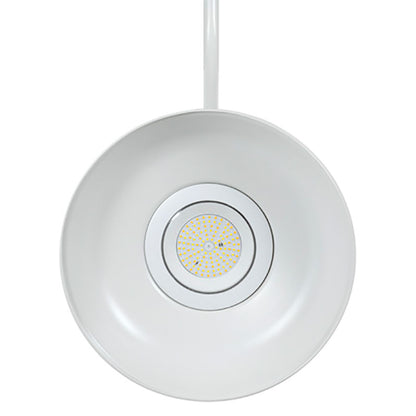 GNB - 3CCT Gooseneck Barn Light